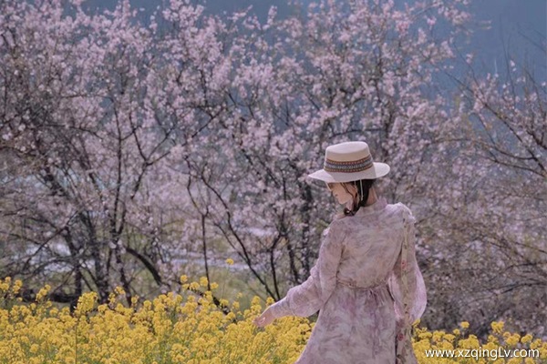 4月去西藏多少錢