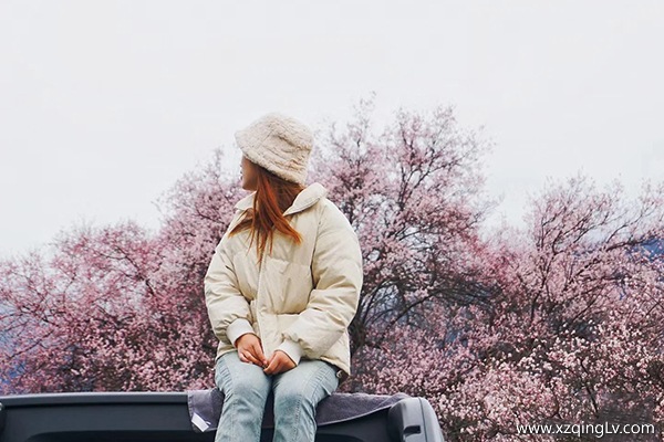 三月包車去拉薩要多少錢一天