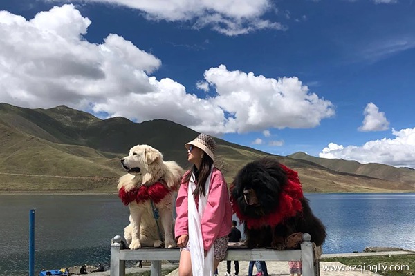 七月的西藏多少度應(yīng)該要如何穿衣