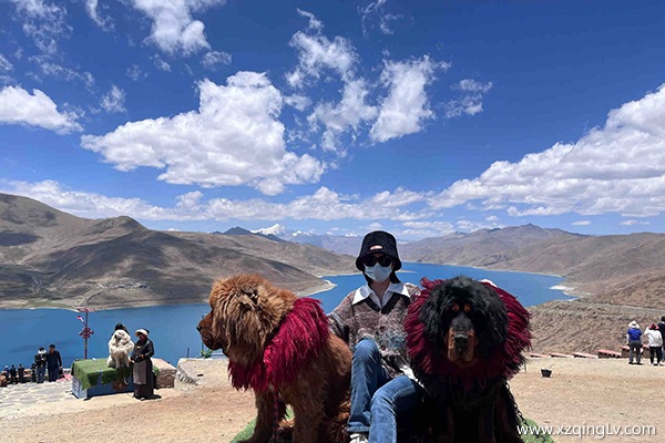 目前去西藏旅游有什么要求在身體方面