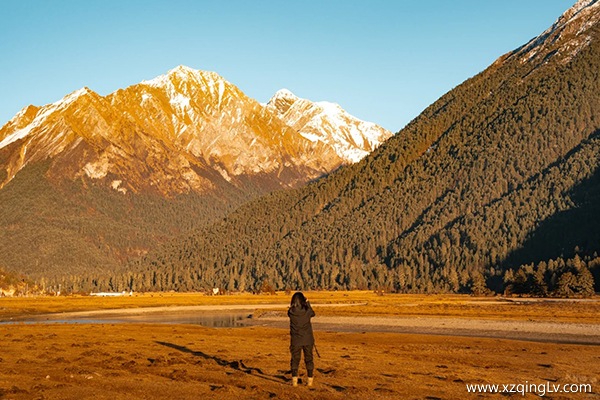 什么時候去林芝最好