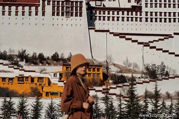 什么時候去林芝最好