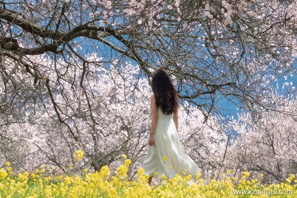 4月適合去西藏旅游嗎