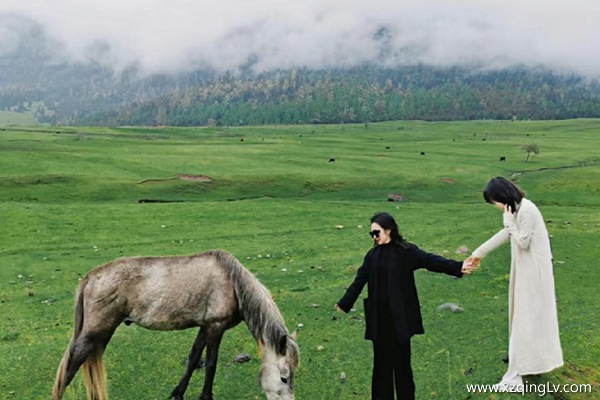 雙人游西藏5天4晚要花多少錢