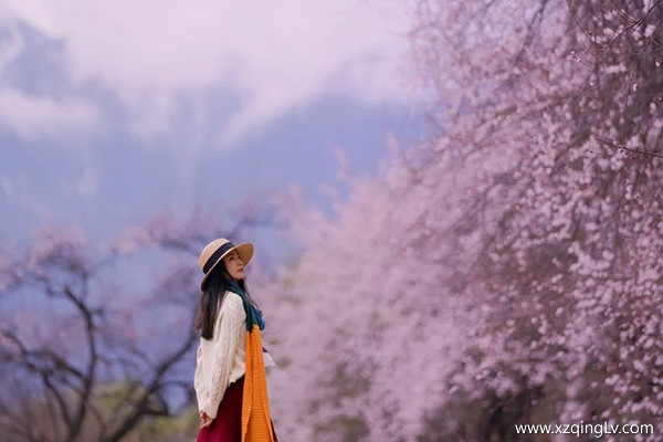 去西藏旅游最佳時間 