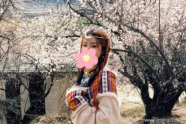 4月福州去一趟西藏大概要花多少錢