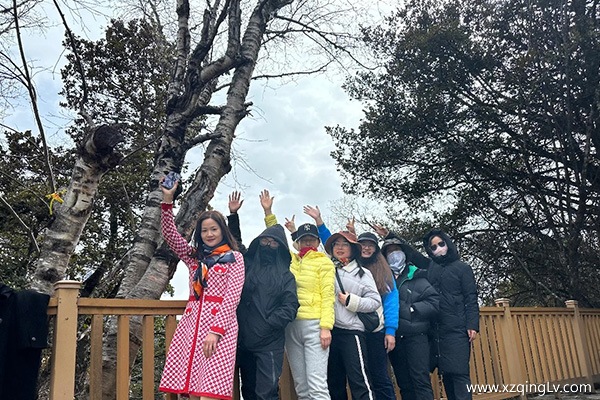 去西藏旅游的最佳月份