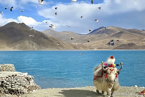 7月份去西藏合適嗎