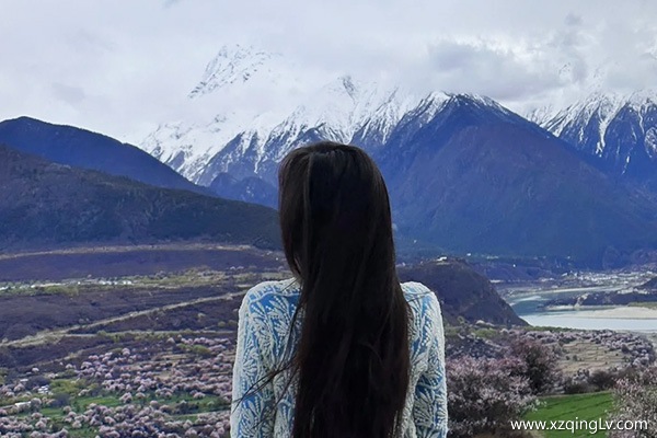 拉薩的最美火車