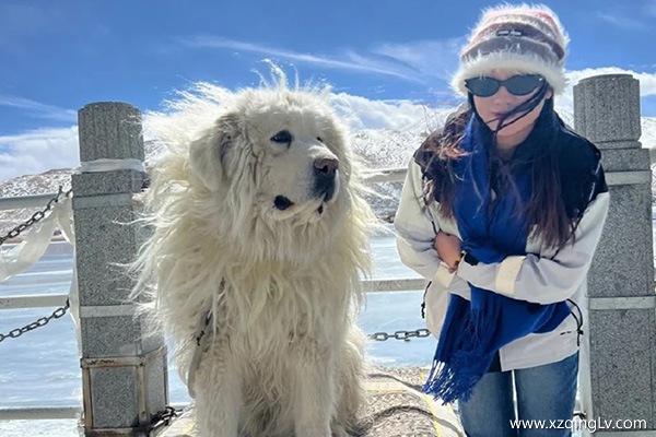 7天時間去西藏怎么玩呢