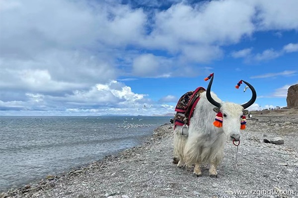 從嘉興到拉薩火車七天攻略